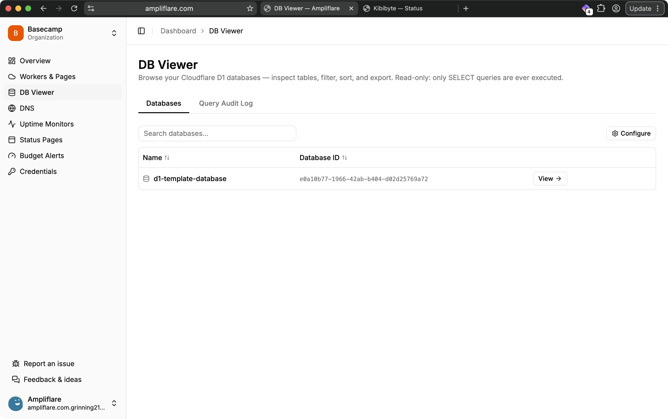 The DB Viewer listing your D1 databases, with a Databases tab and a Query Audit Log tab